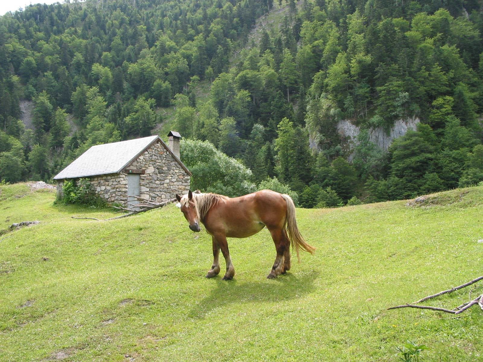 Maison d'Isabé