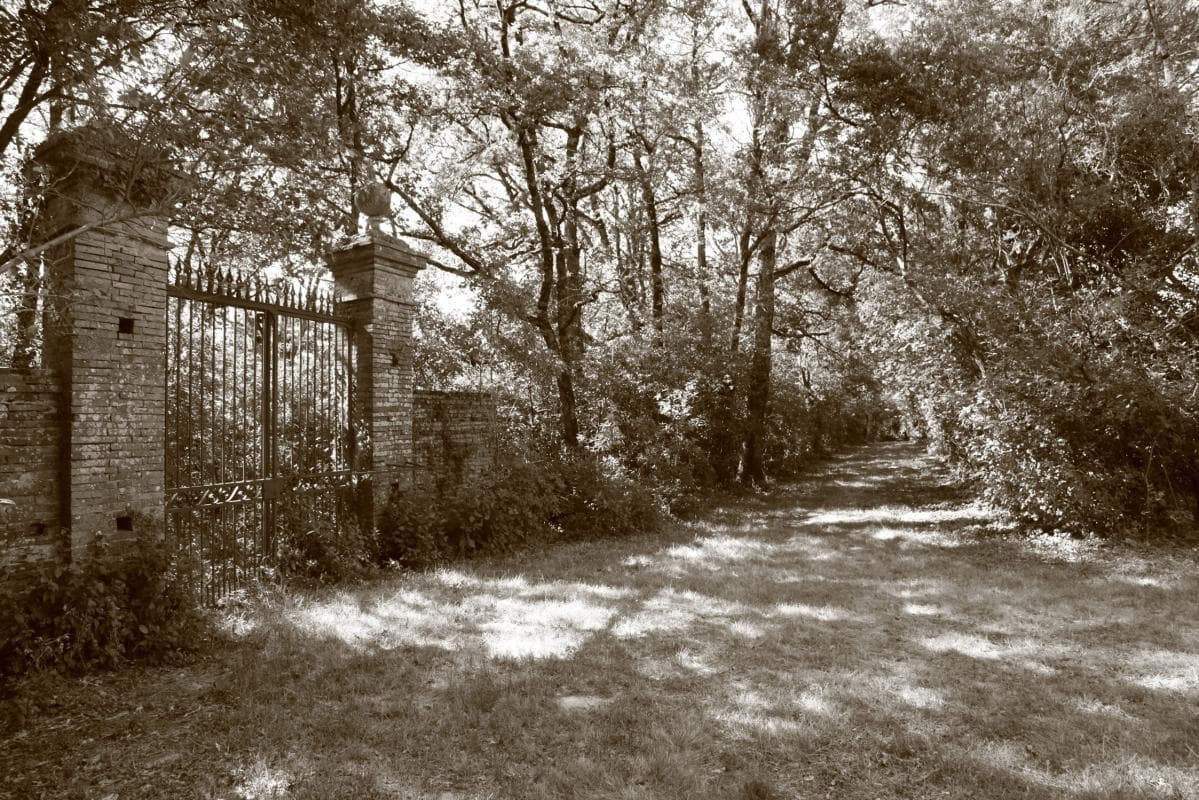 Le Candelé