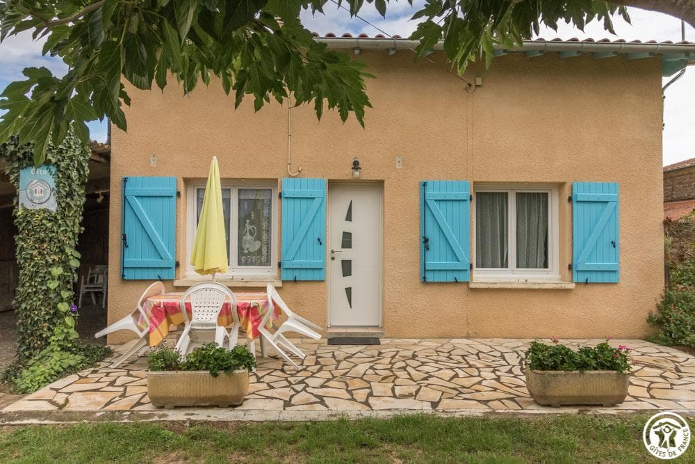 Le Pin Parasol