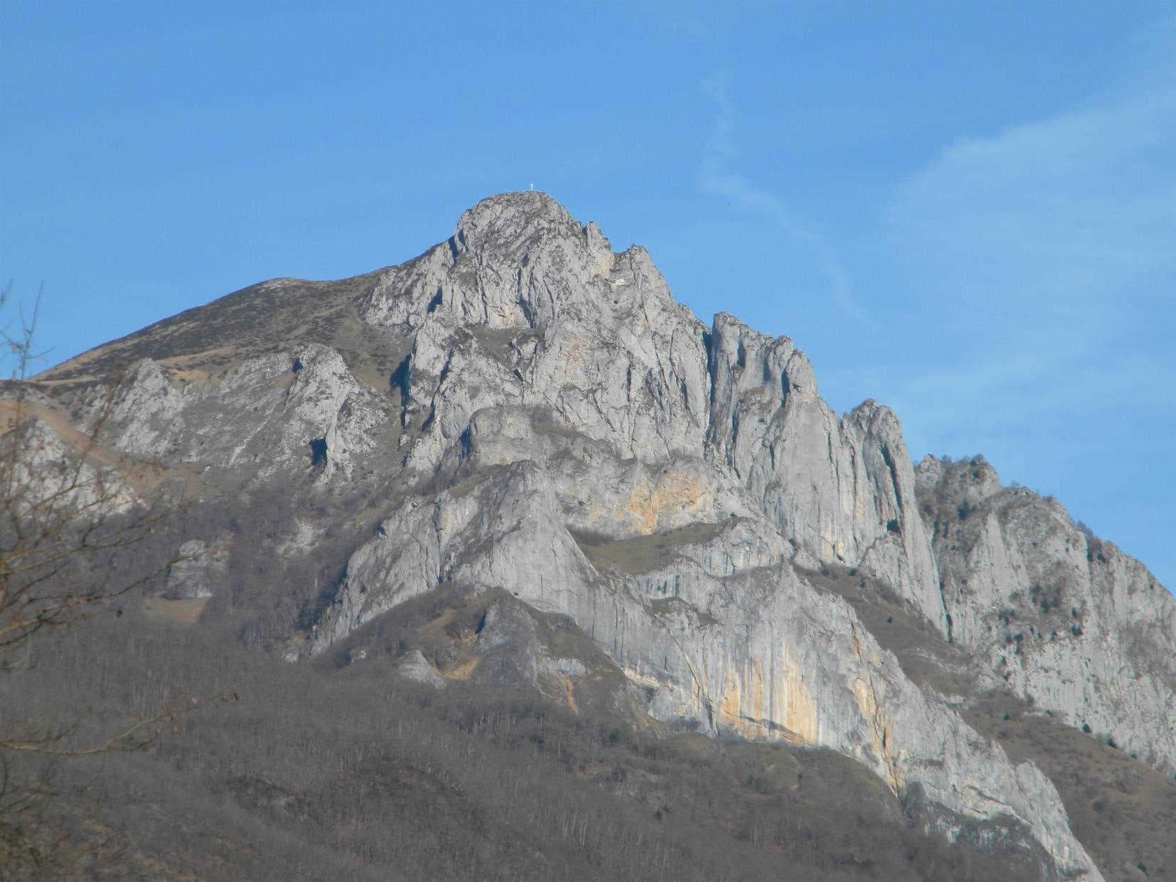 Les Ecureuils