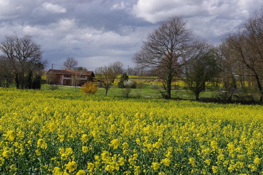 La Ferme de Menoun