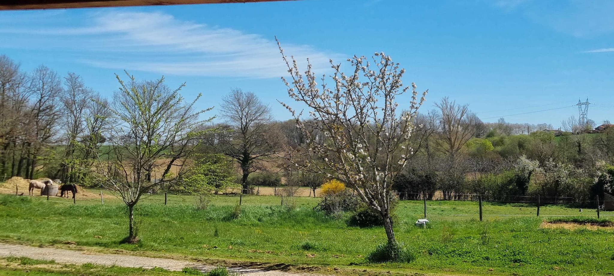 La Ferme de Menoun