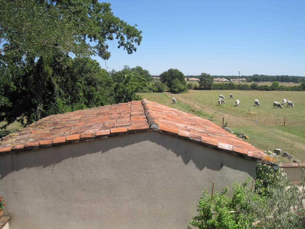 Domaine de Blanconne