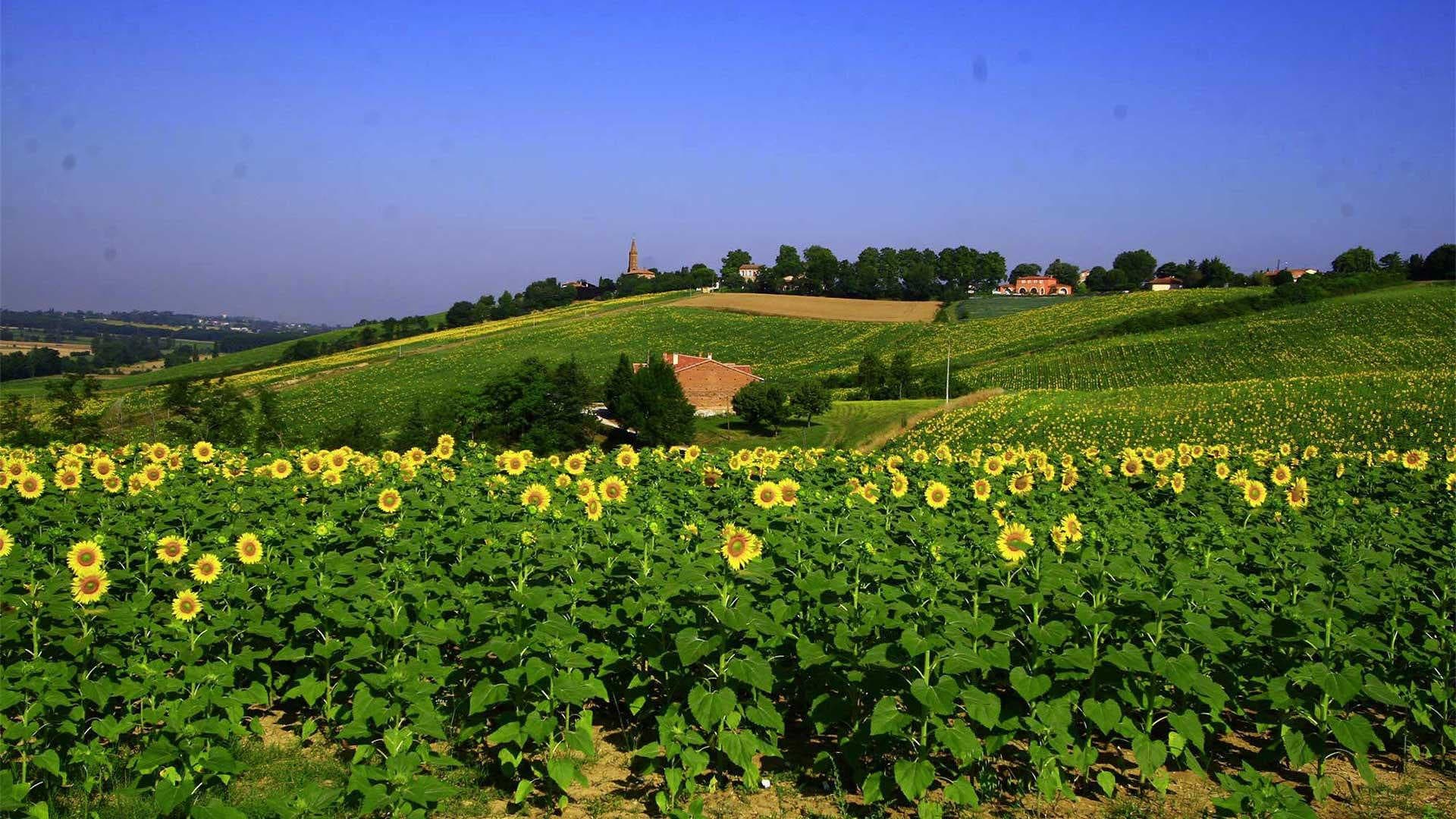 Baugnac N°2