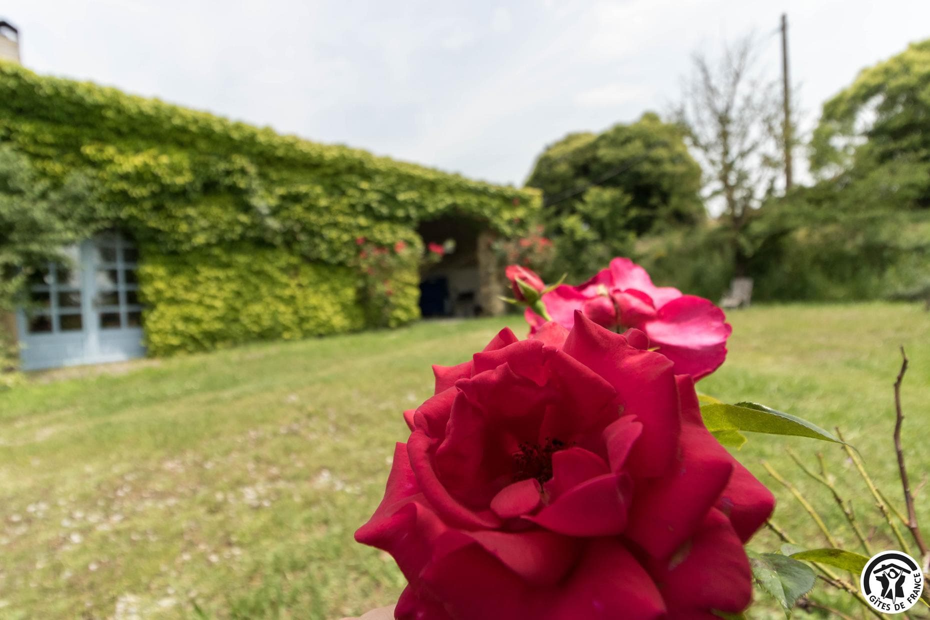 Les Roses d'Autan