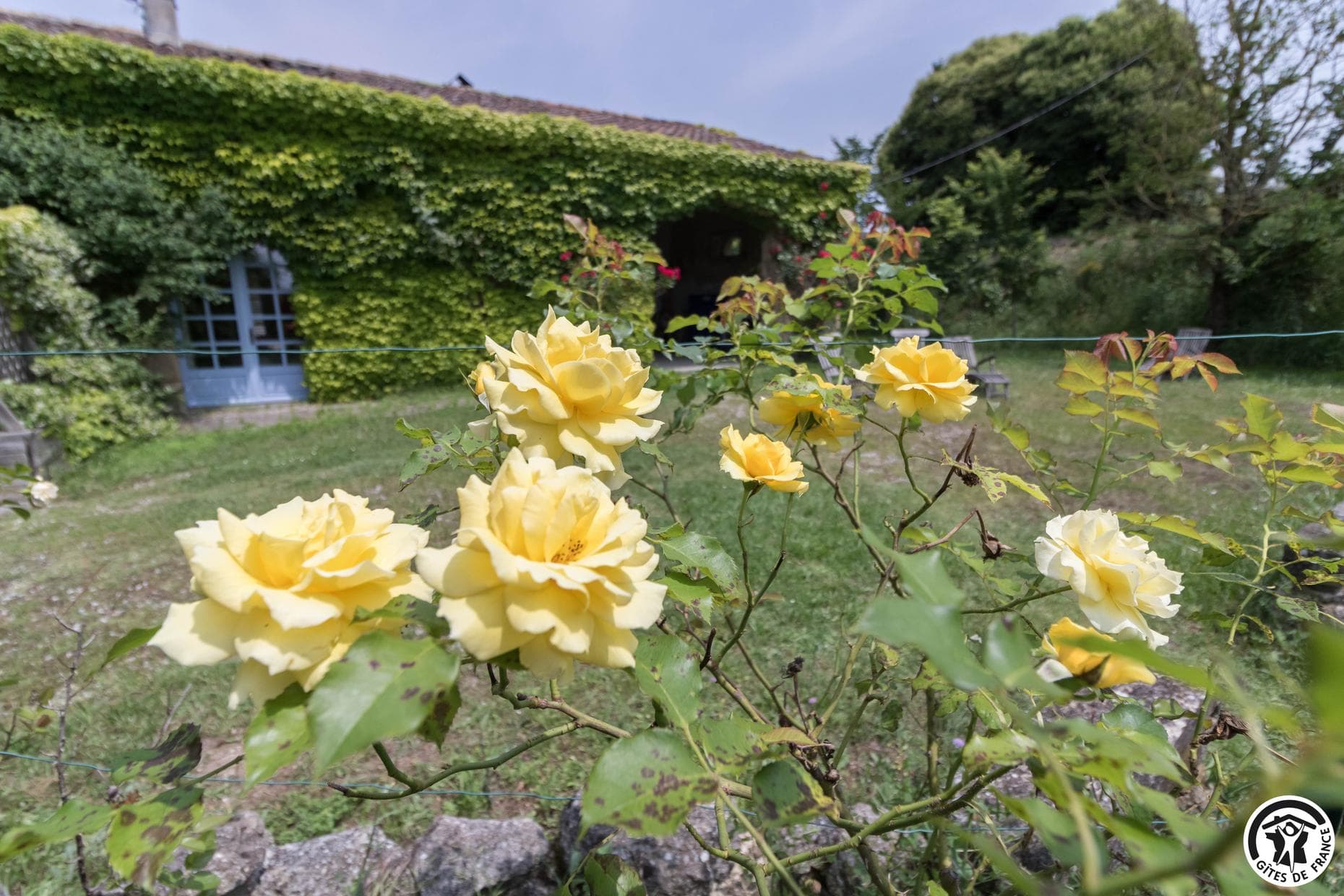 Les Roses d'Autan