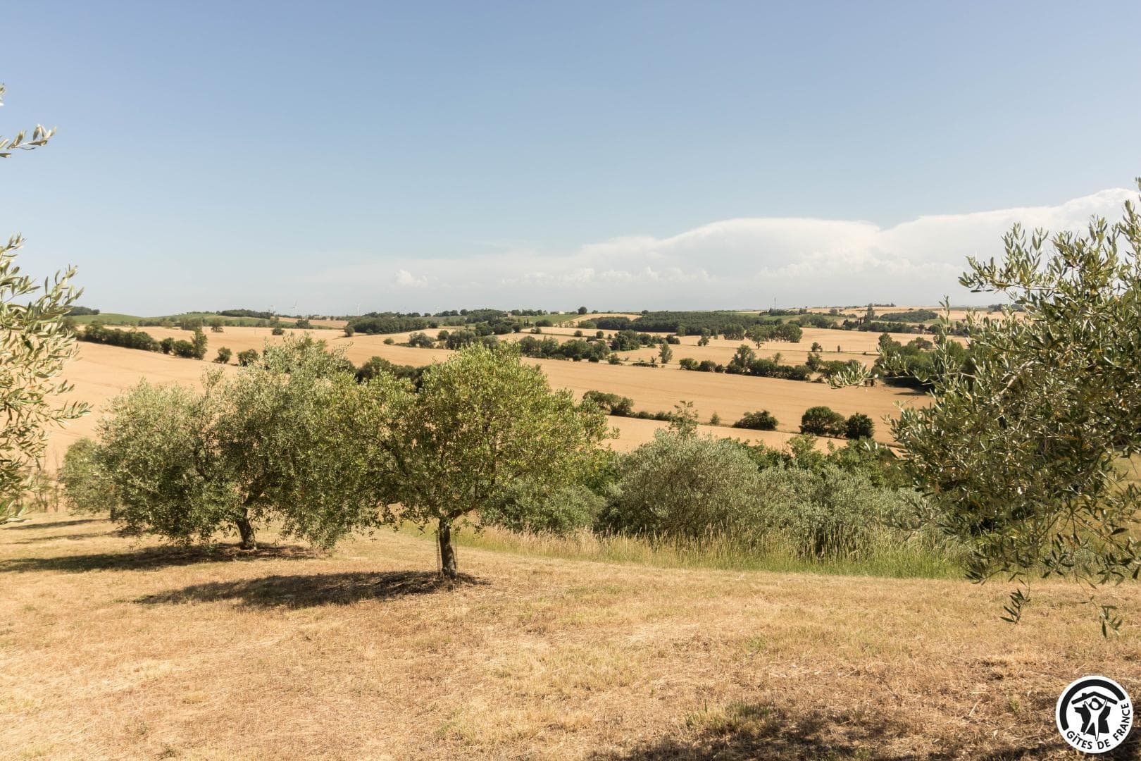 Le Matelot