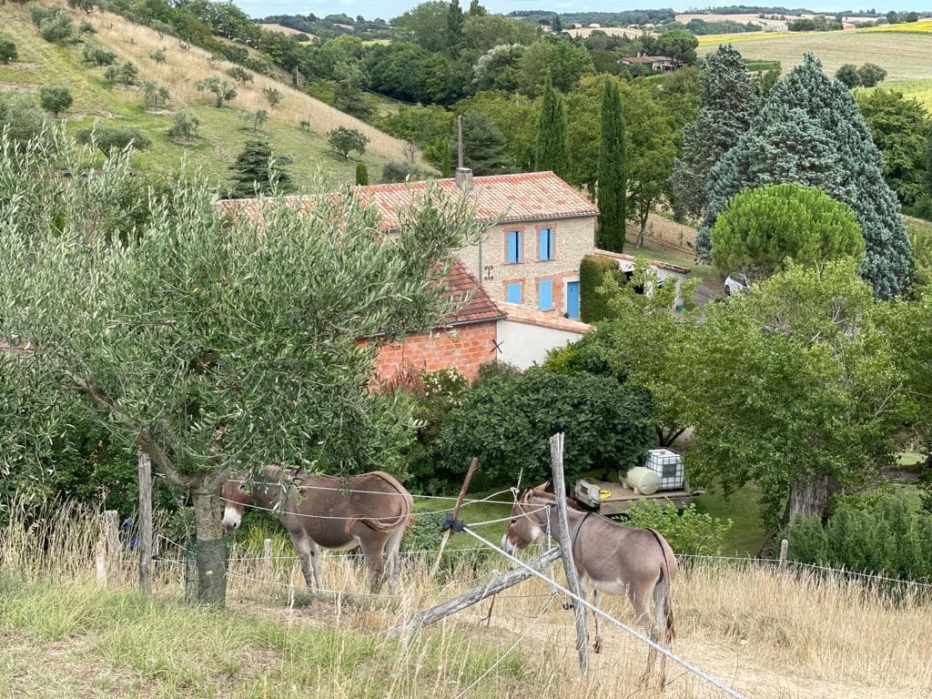Le Matelot