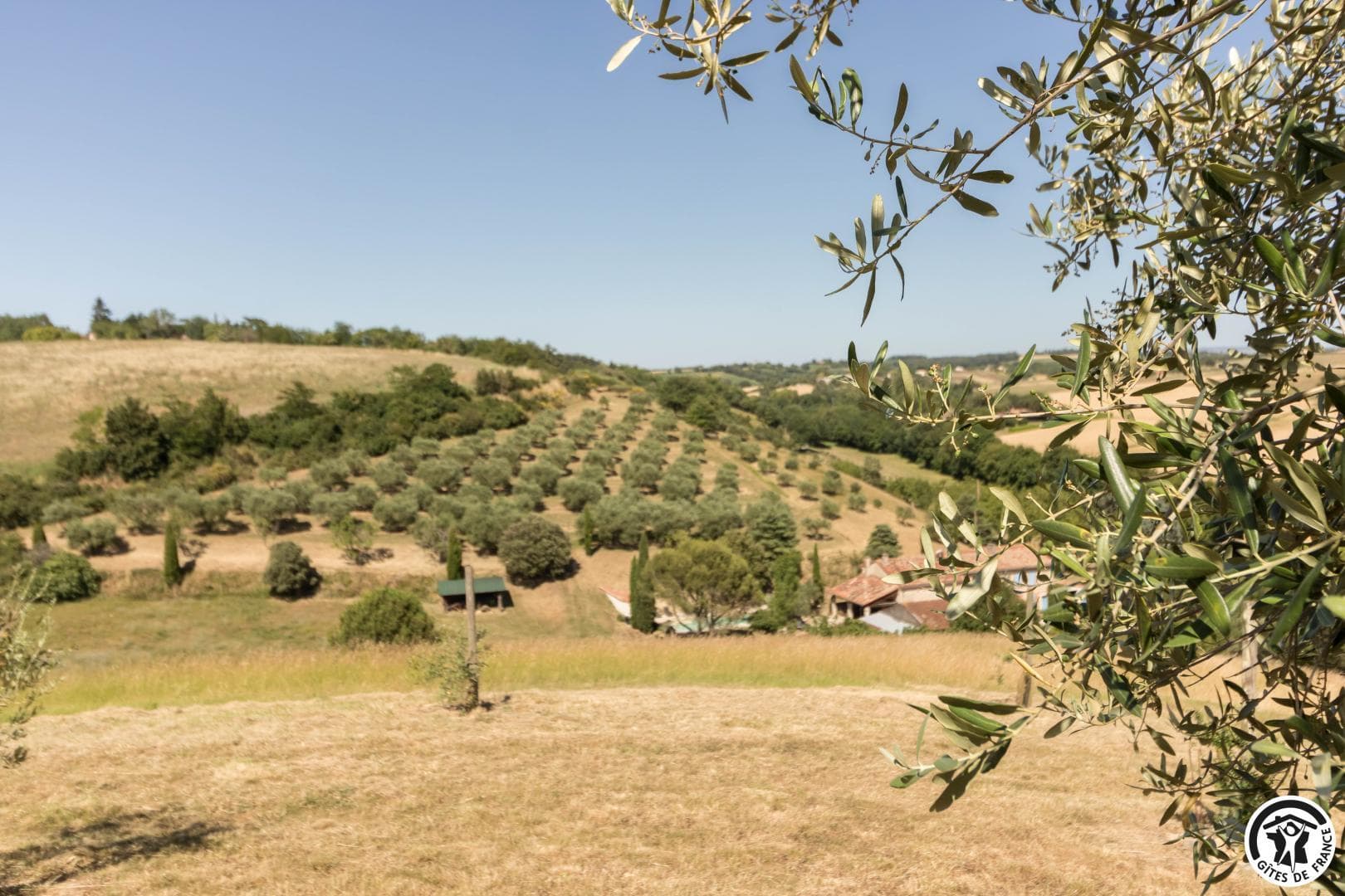 Le Matelot