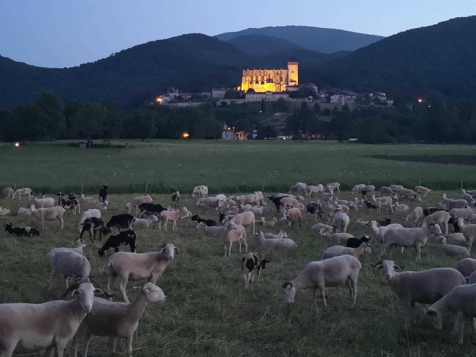 Le Castel Vert