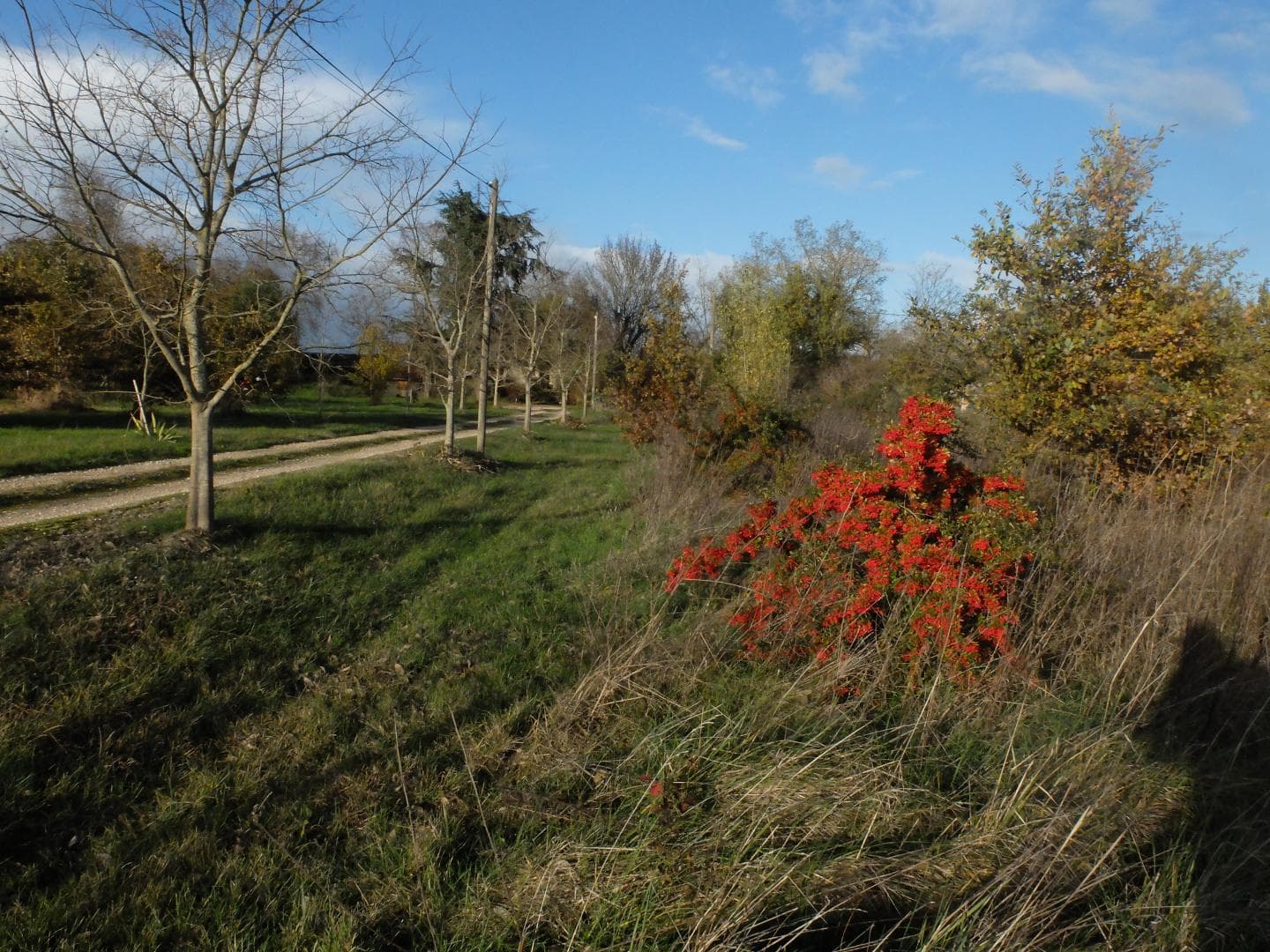 Terre de Sabonnères