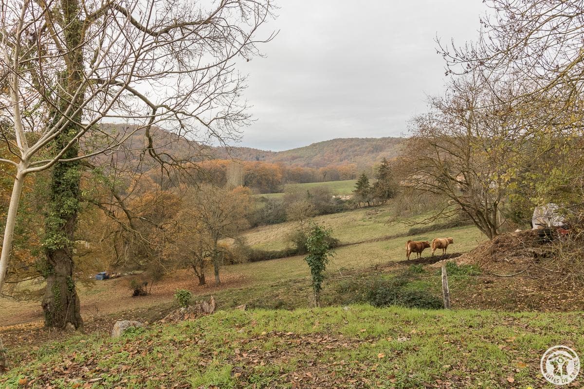 La Ferme des Hautins