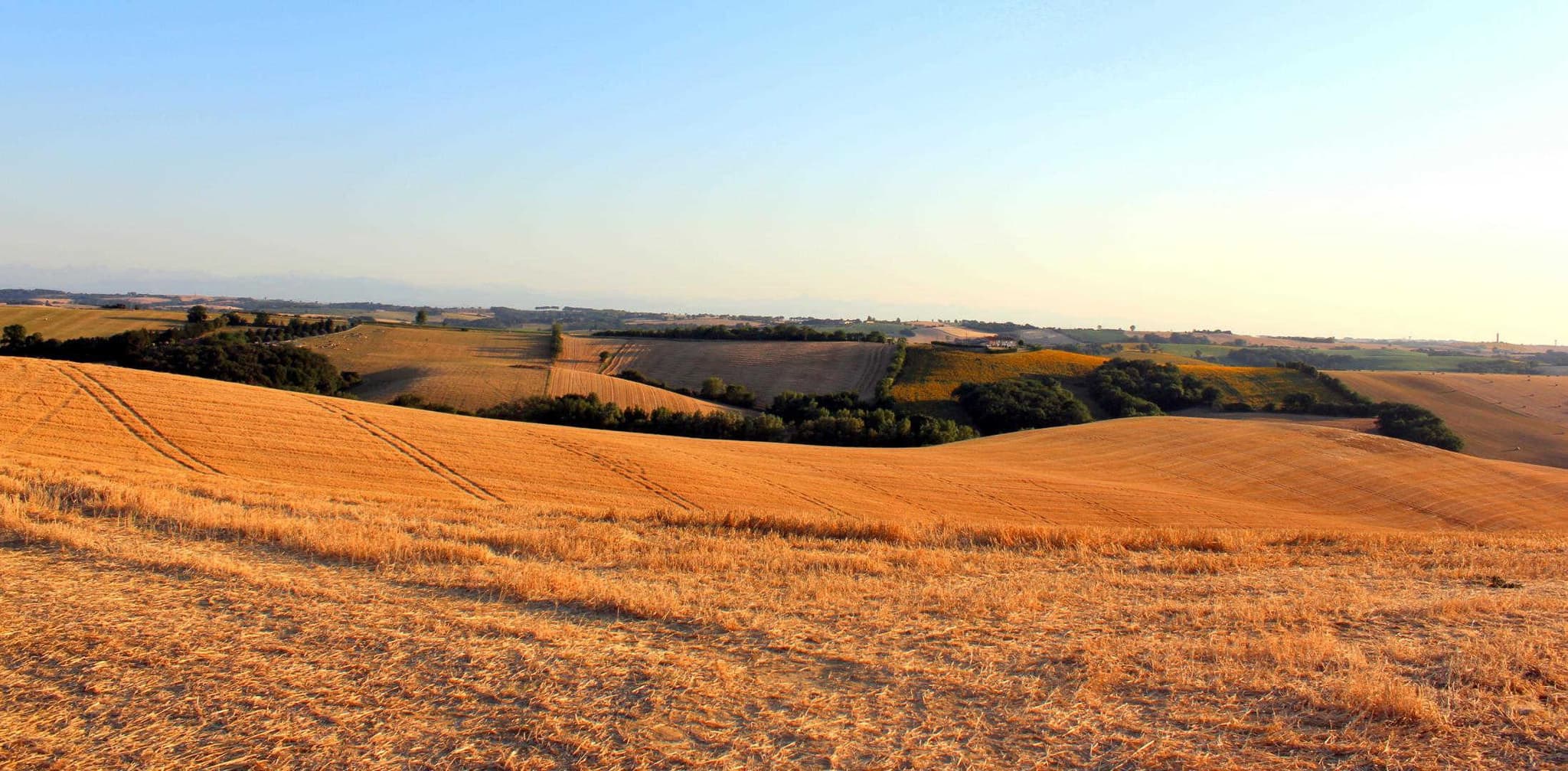 Balanquier