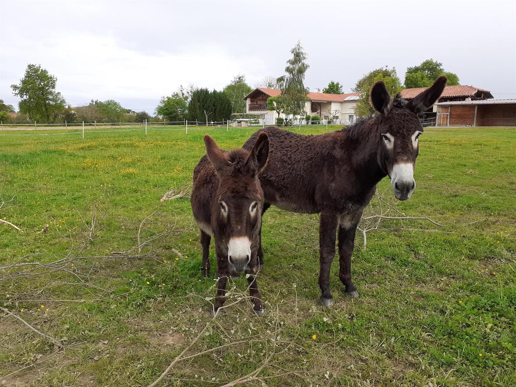 Gîte en Comminges