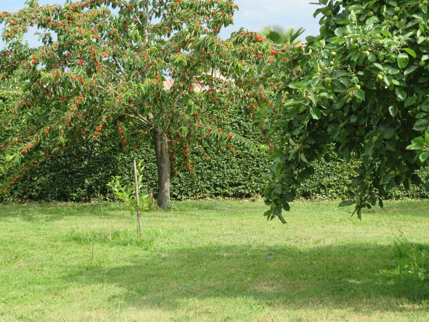 Gîte du Pradel