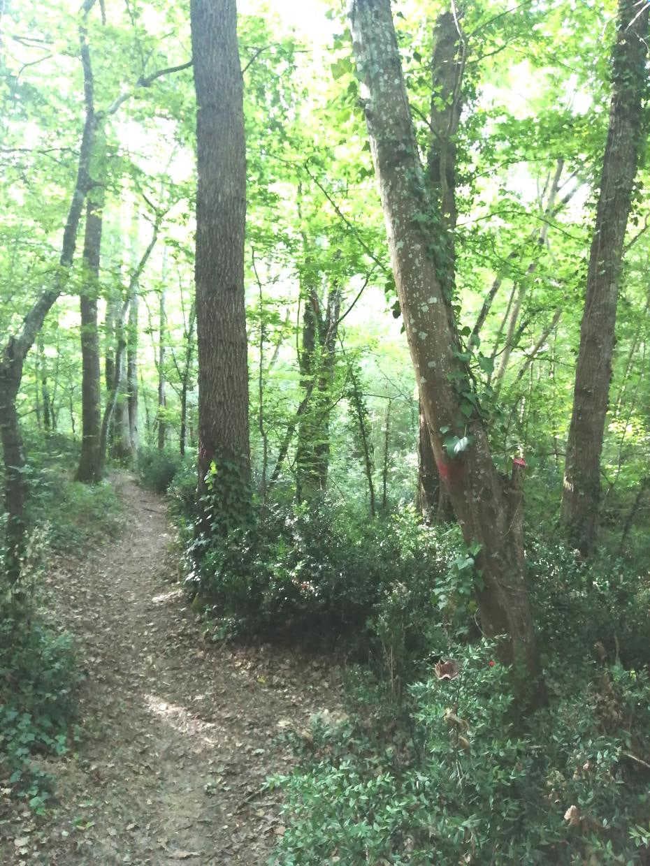 Green Valley
