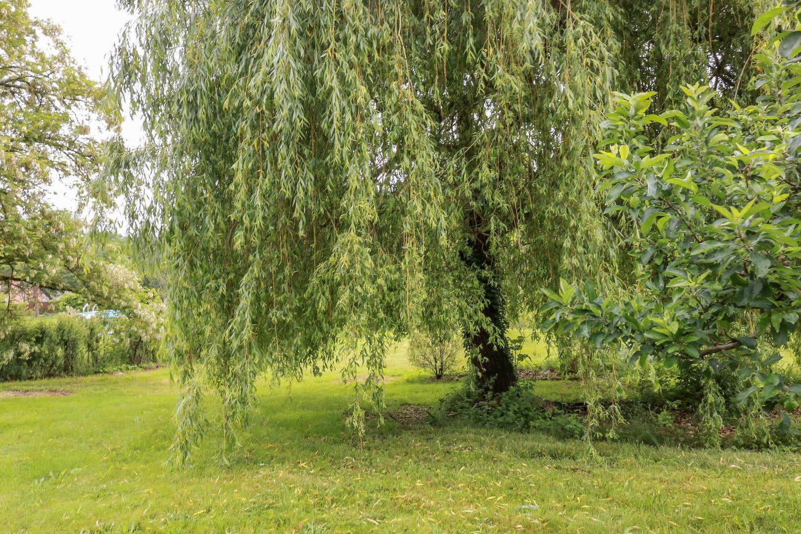Green Valley