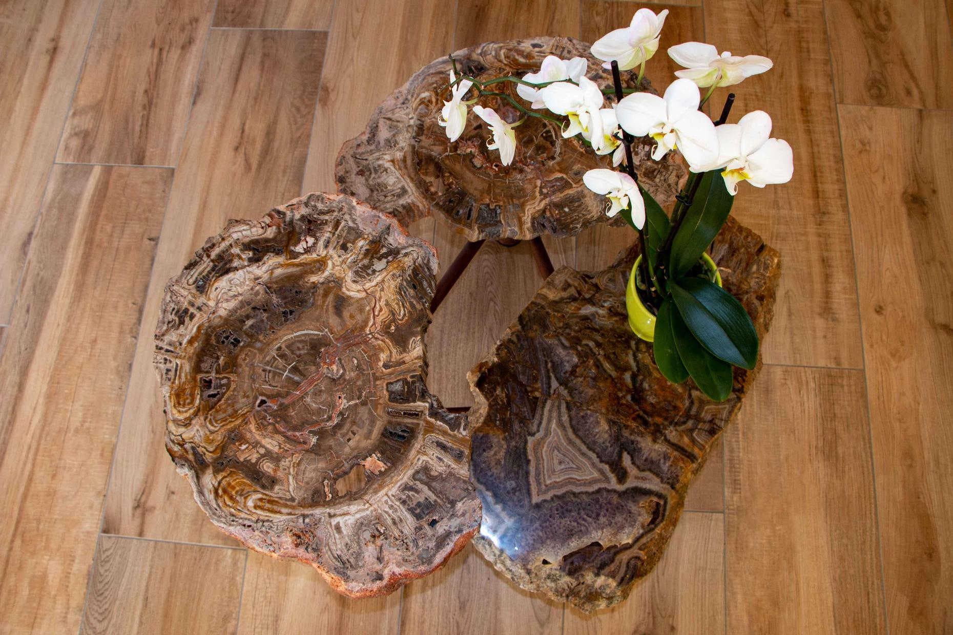 Villa Art Natura