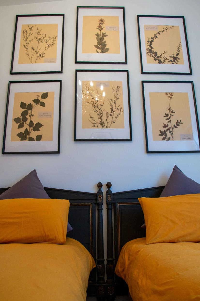 Villa Art Natura