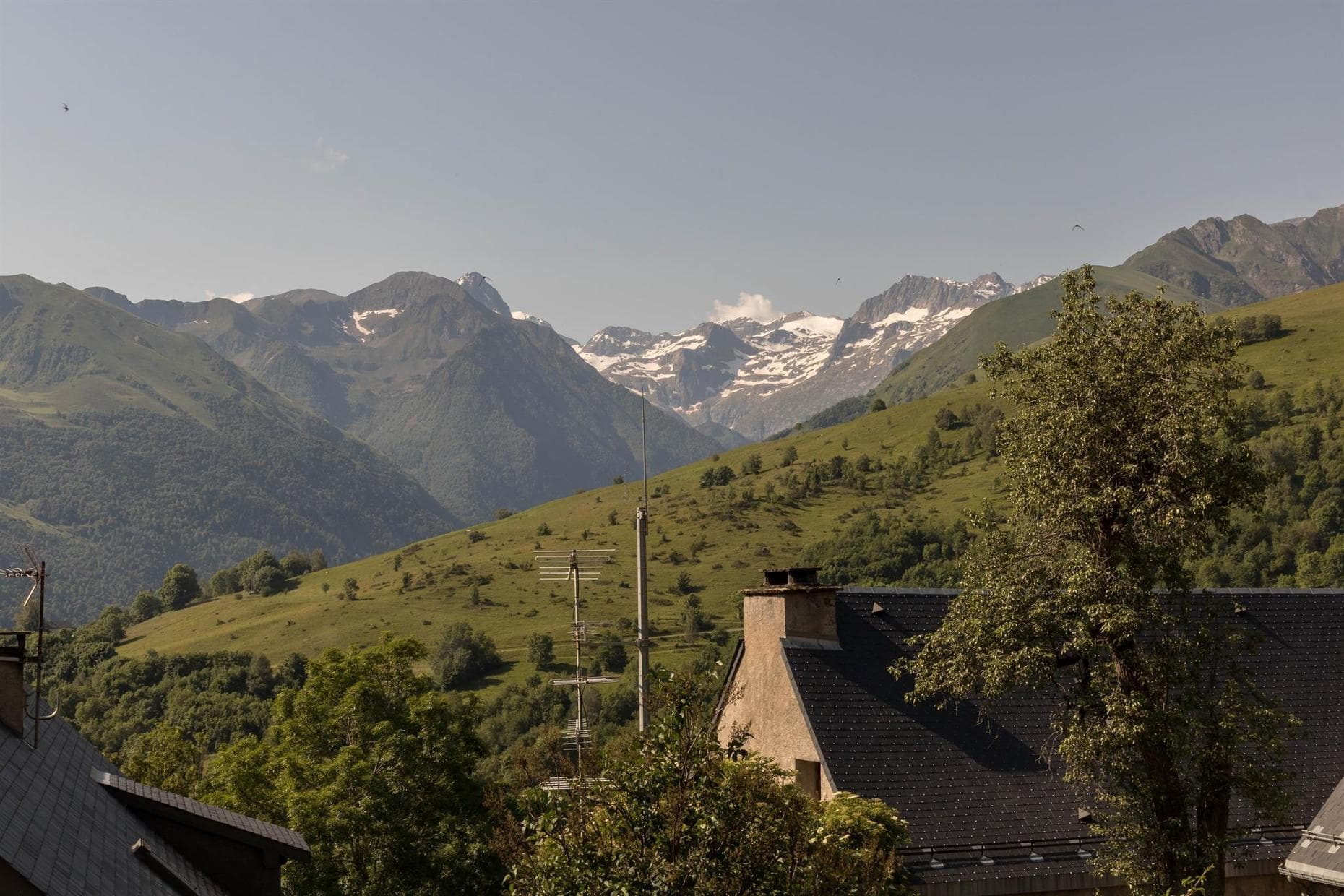 L'Edelweiss