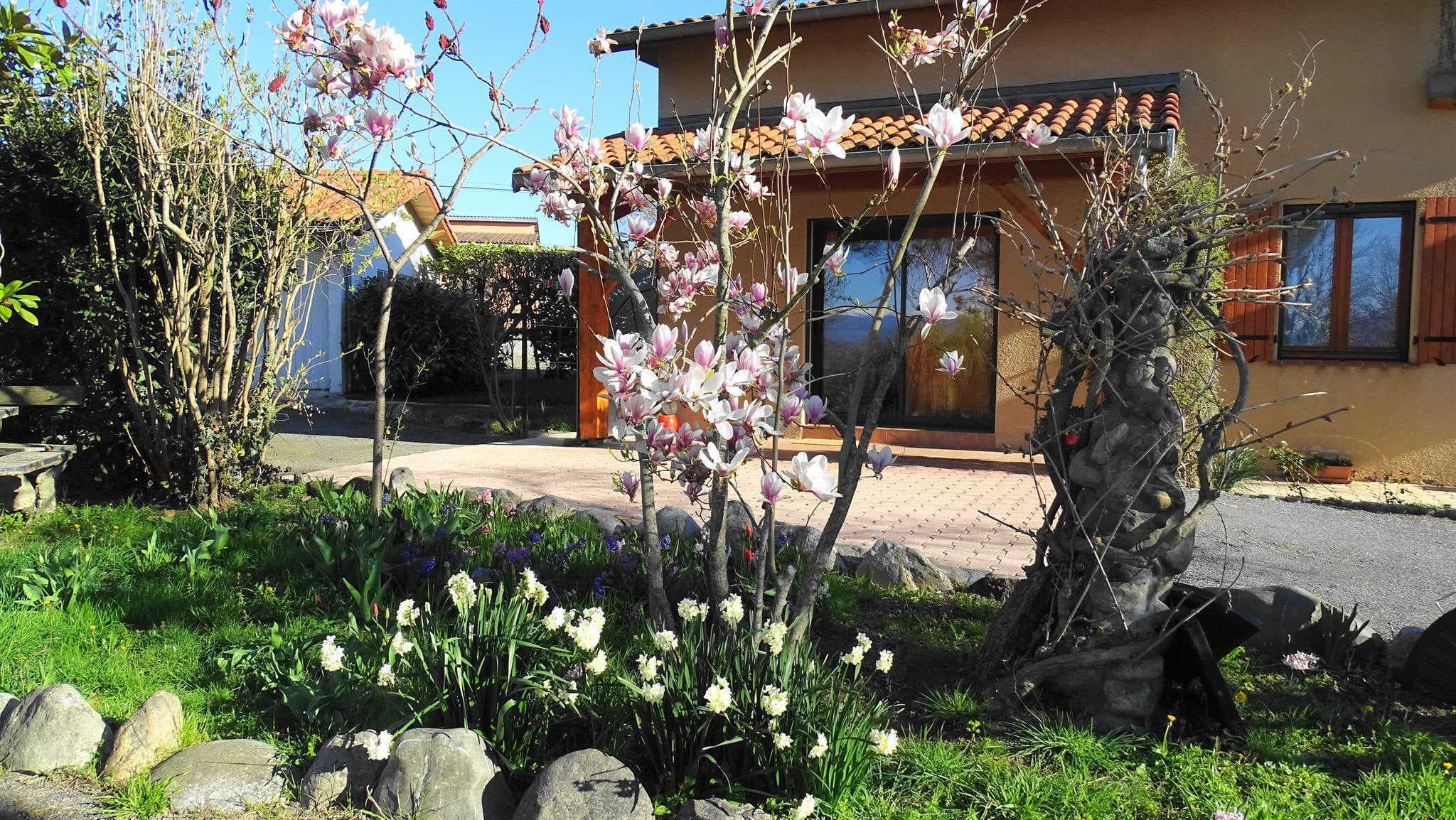 Au-Delà des Cimes