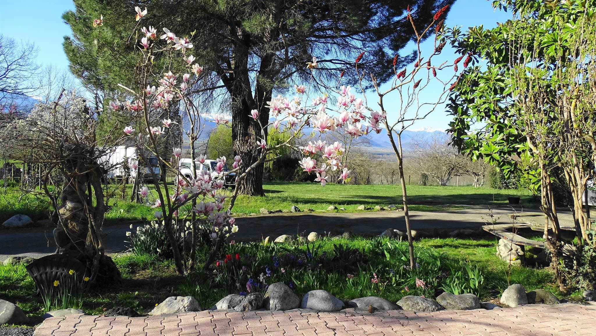 Au-Delà des Cimes