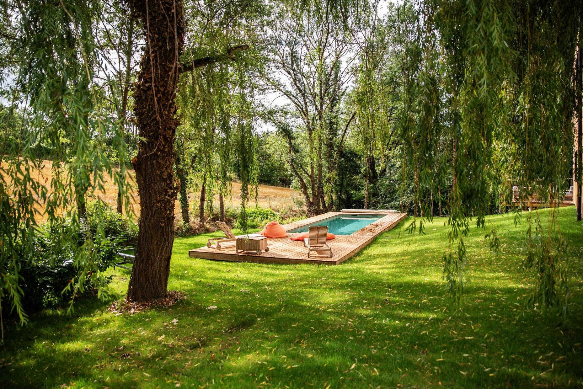 Dans les arbres