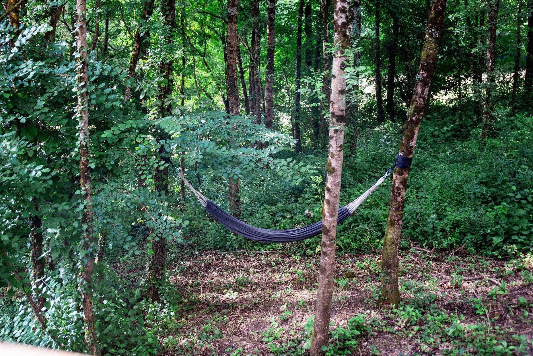 Dans les arbres