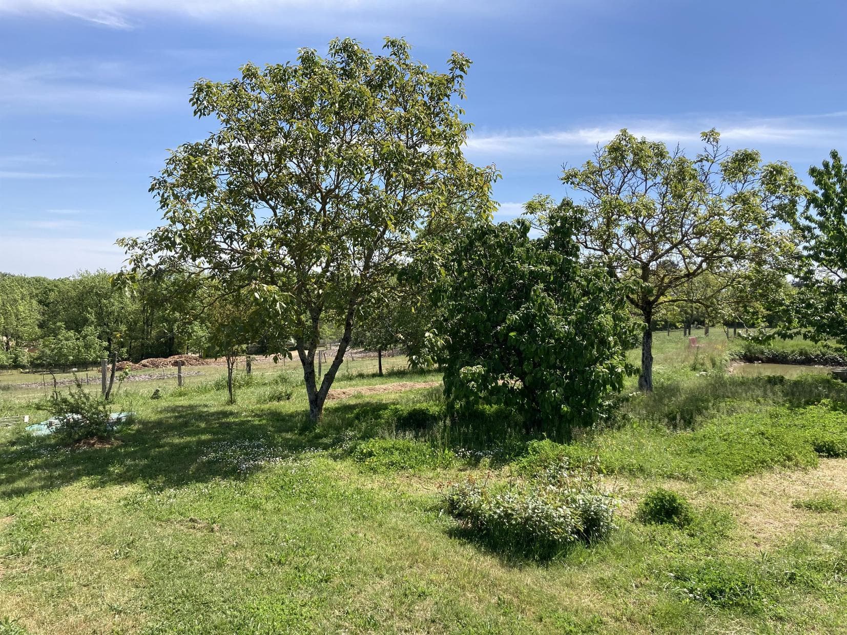 Domaine de Galitran