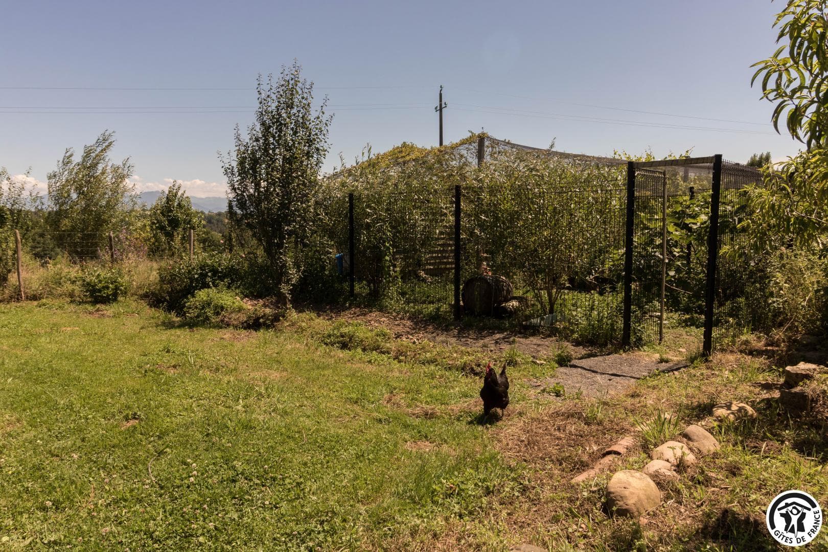 Le Gîte des Loulous