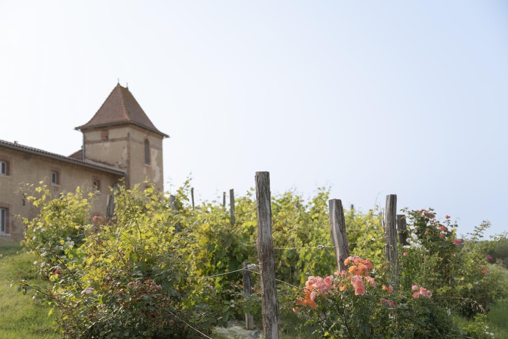 Escons Domaine de Charme
