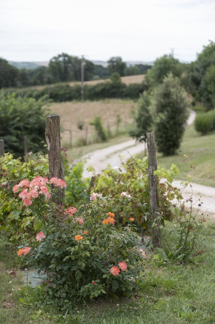 Escons Domaine de Charme