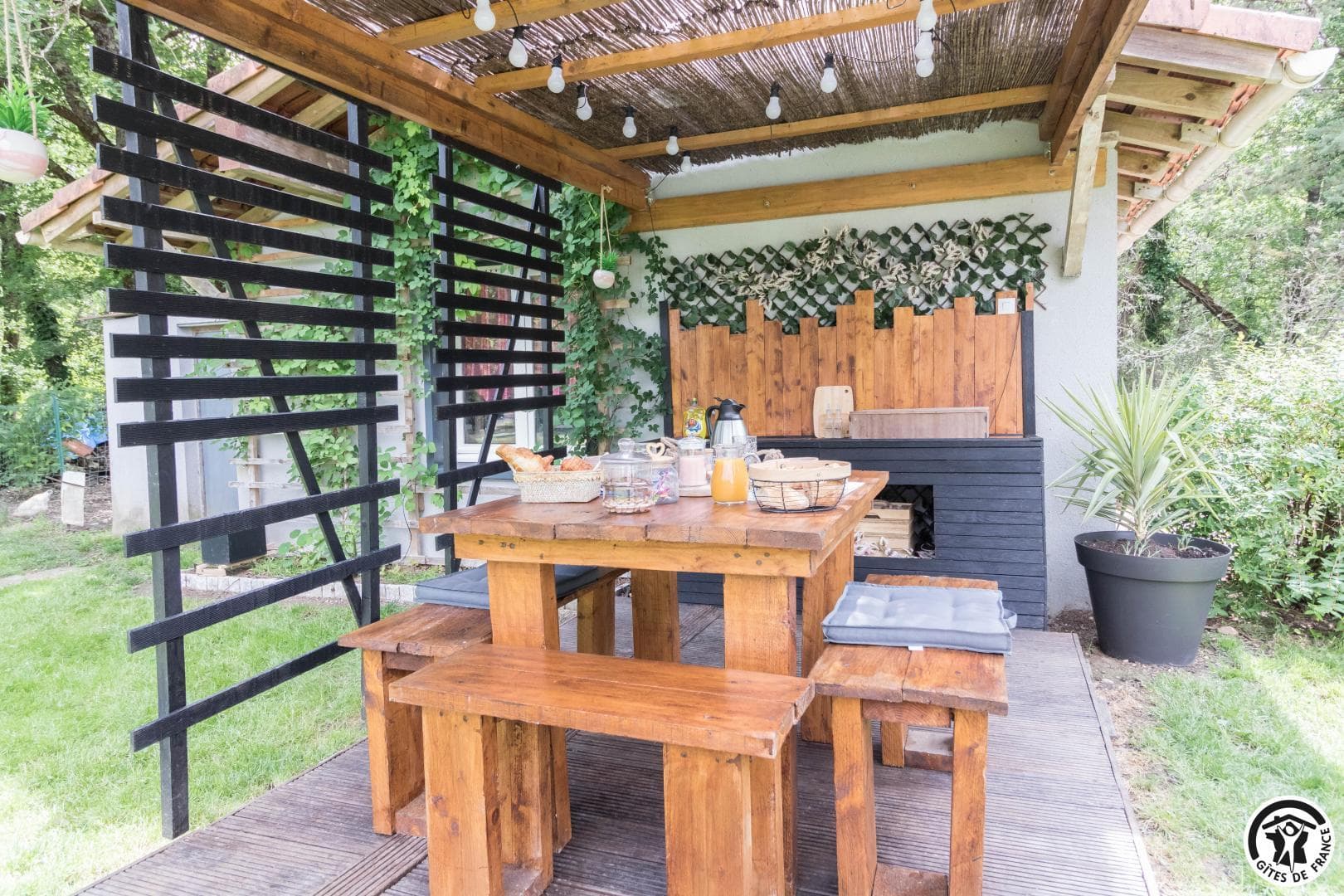 Les Agapanthes du Frontonnais