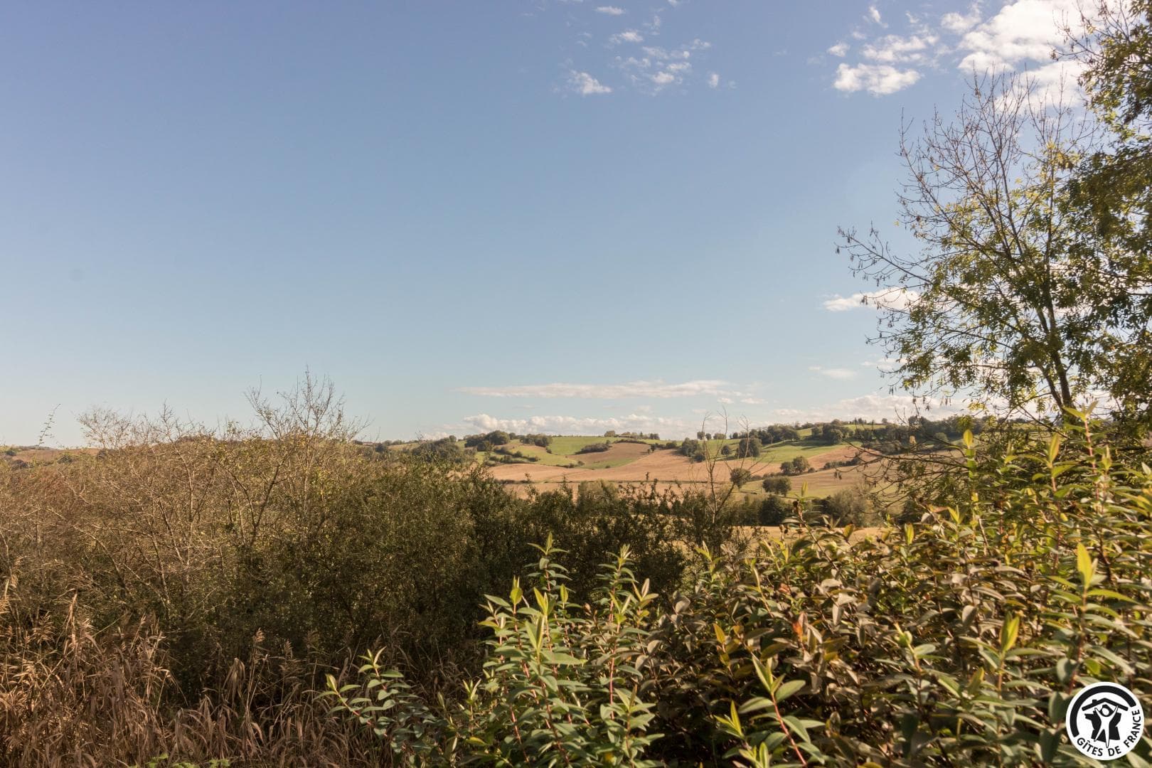 La Flânerie