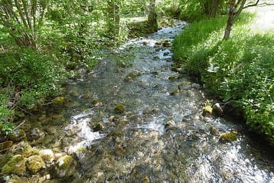 Gîte du Ruisseau