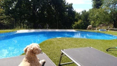 Chez les Soays Piscine Landorthe