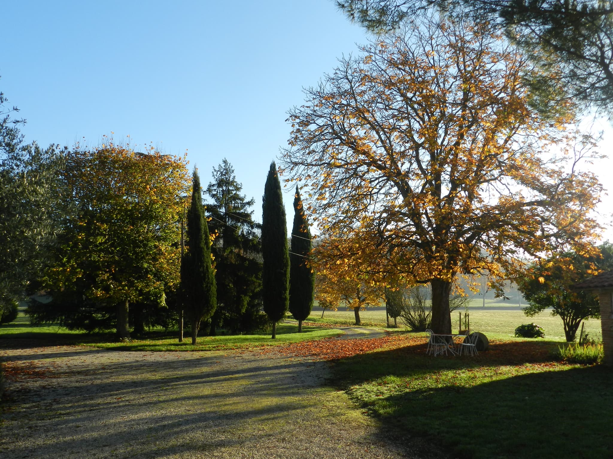 Ferme Montplaisir Montesquieu-Volvestre