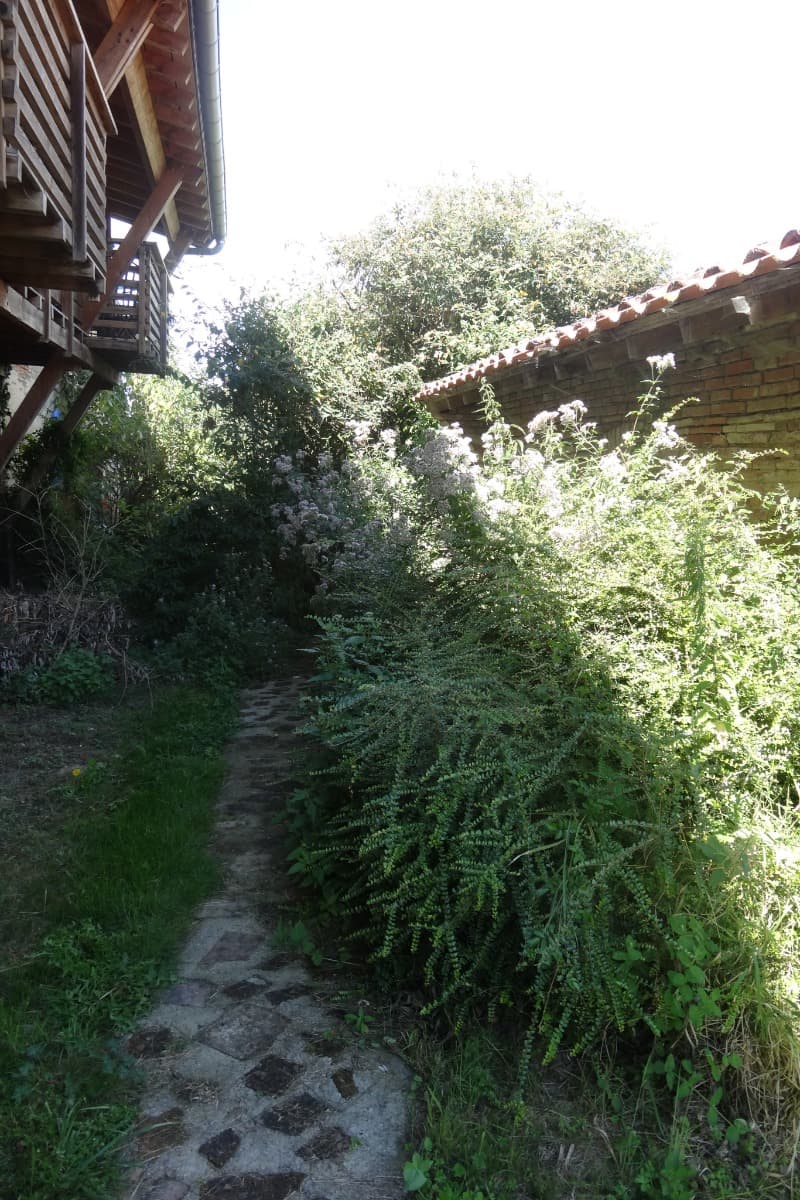 HLOMIP031CM00764_17