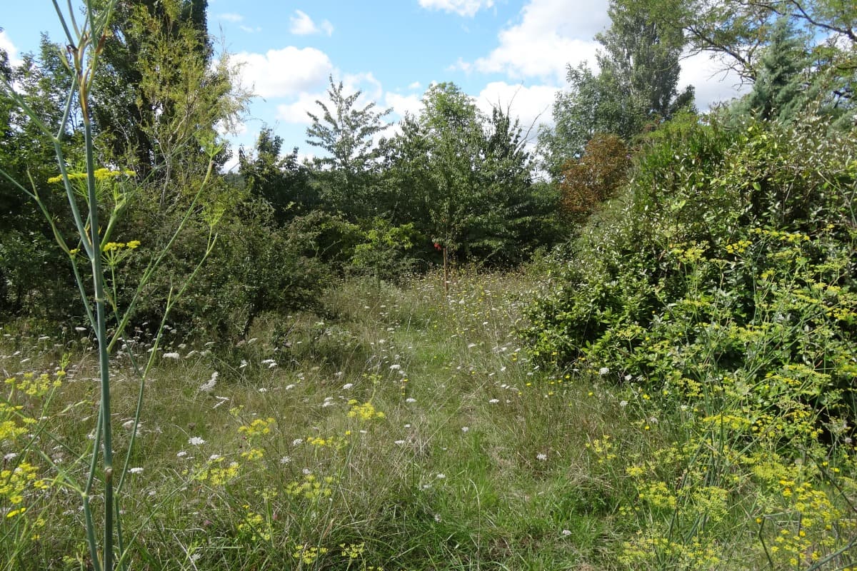 HLOMIP031CM00764_23