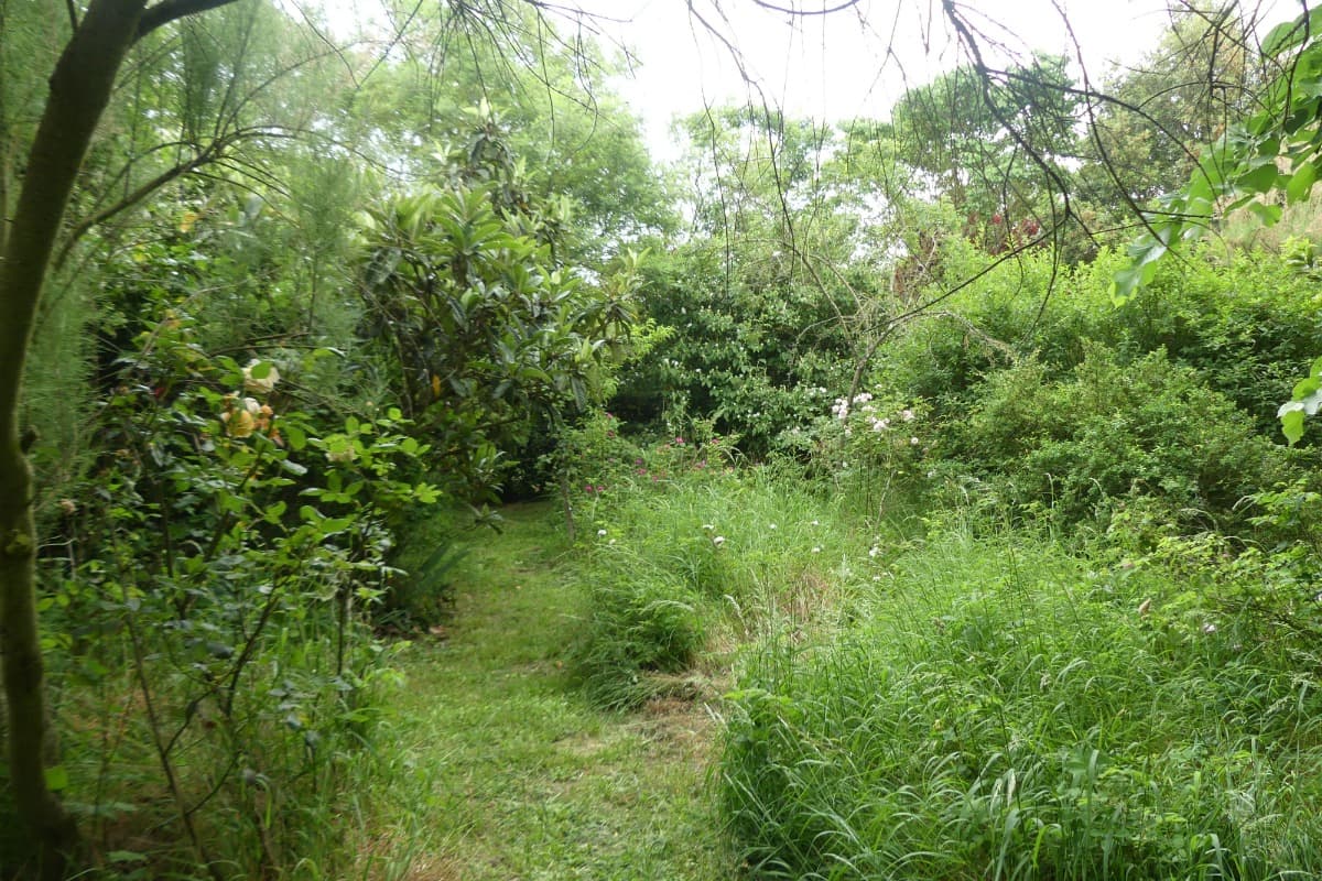 HLOMIP031CM00764_28