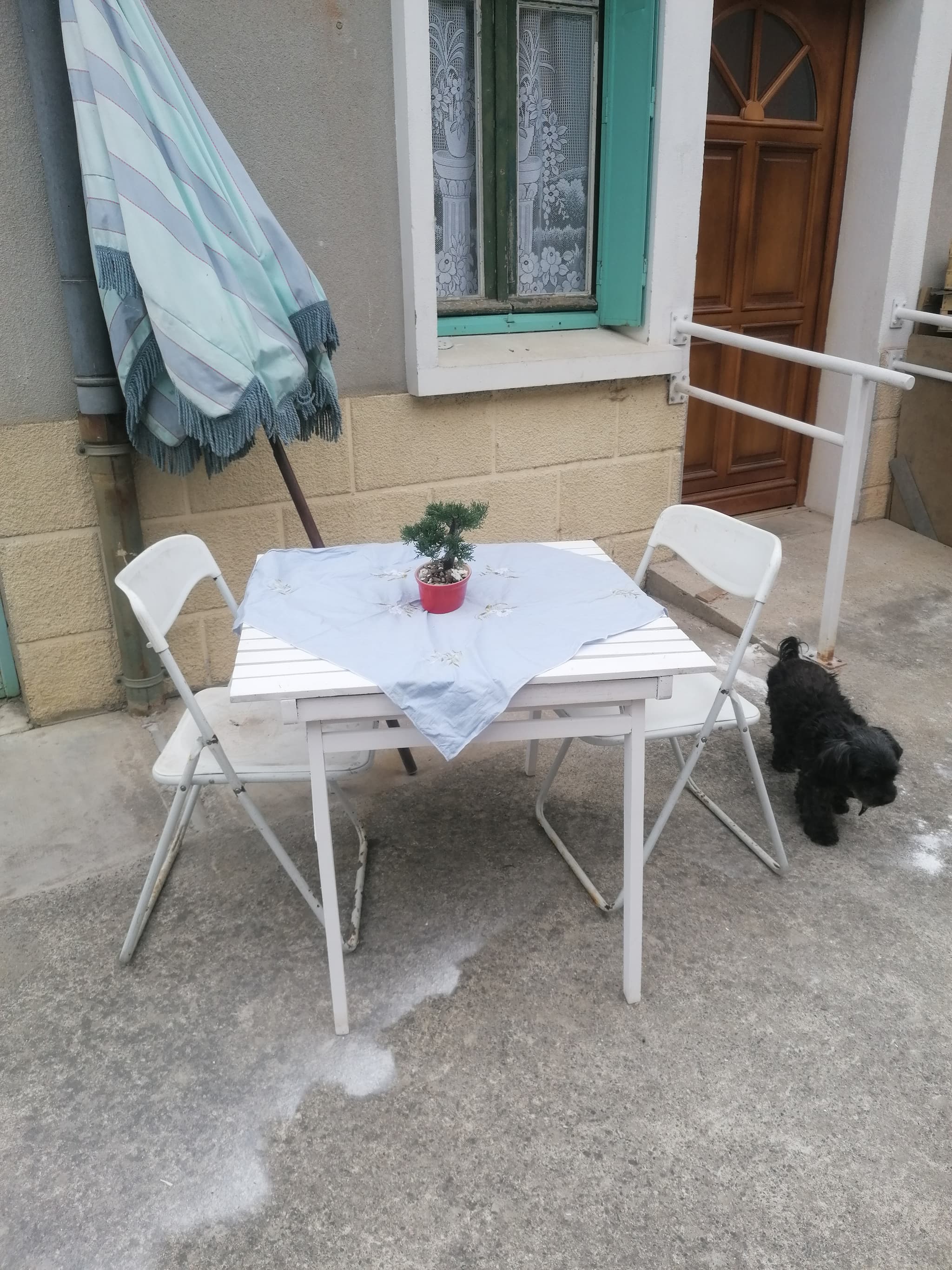 Chez Maryse, QUENTIN Maryse,terrasse(1)