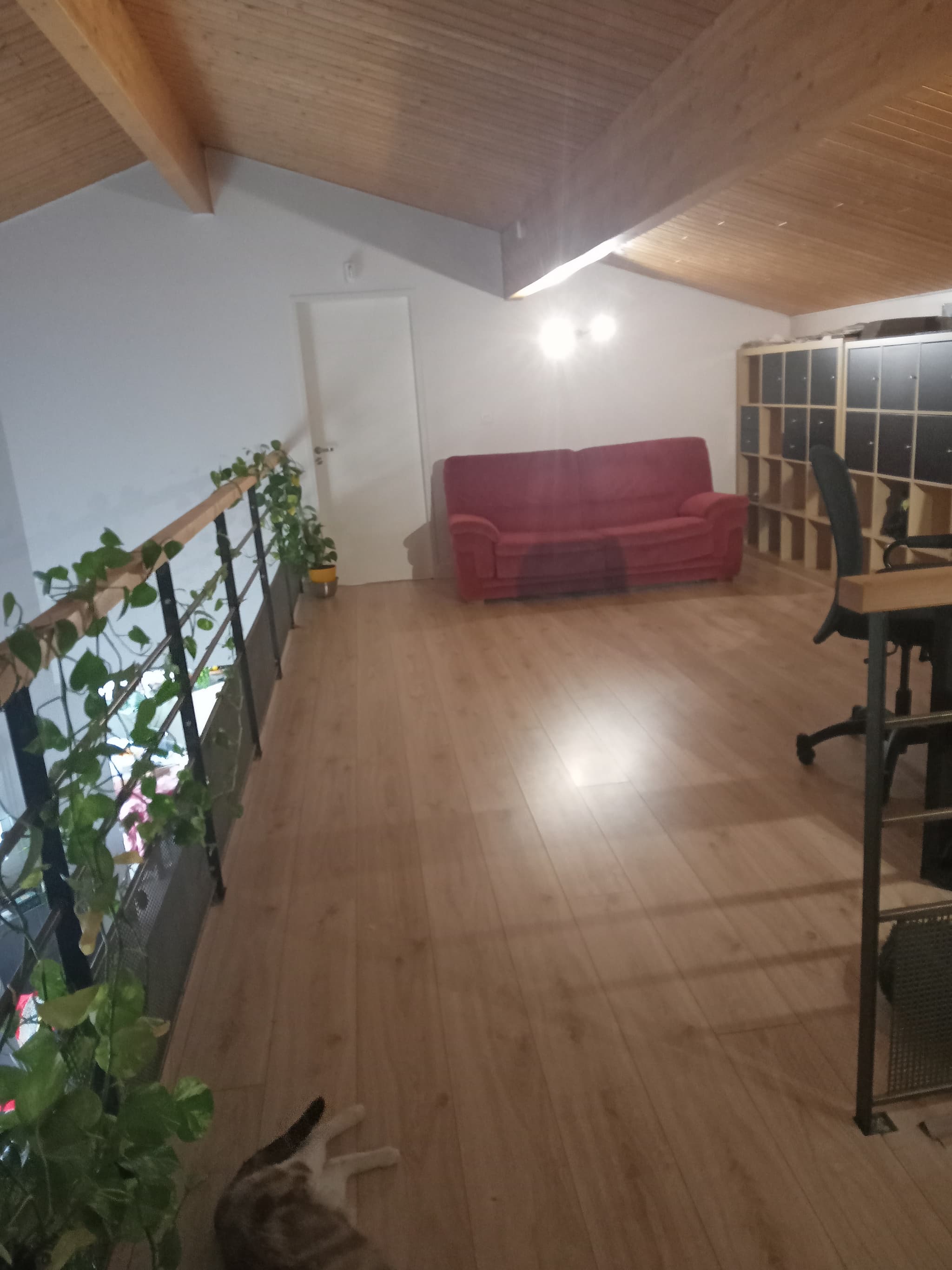 mezzanine