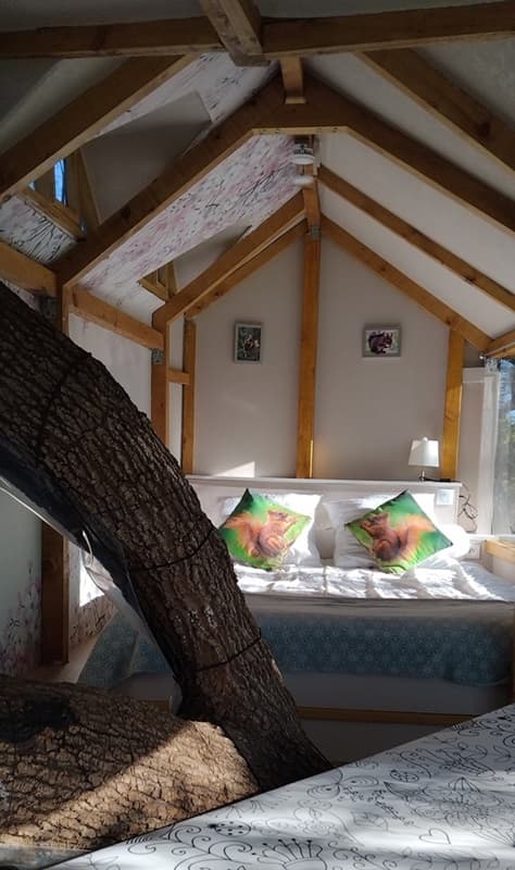 Nouvelle chambre La Cabane Insolite