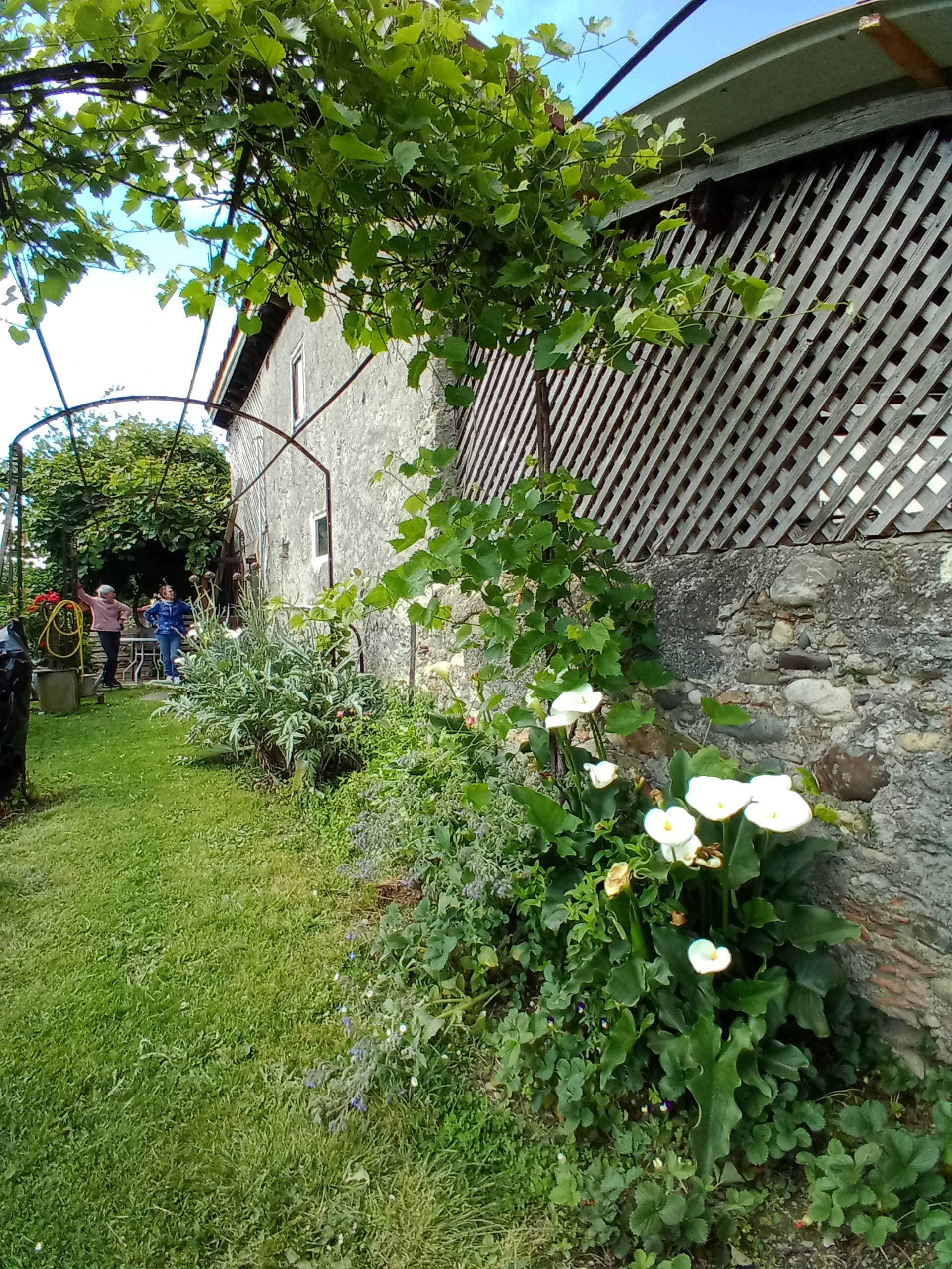 X-JARDIN-AROMES-2