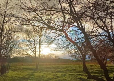 automne-400x284