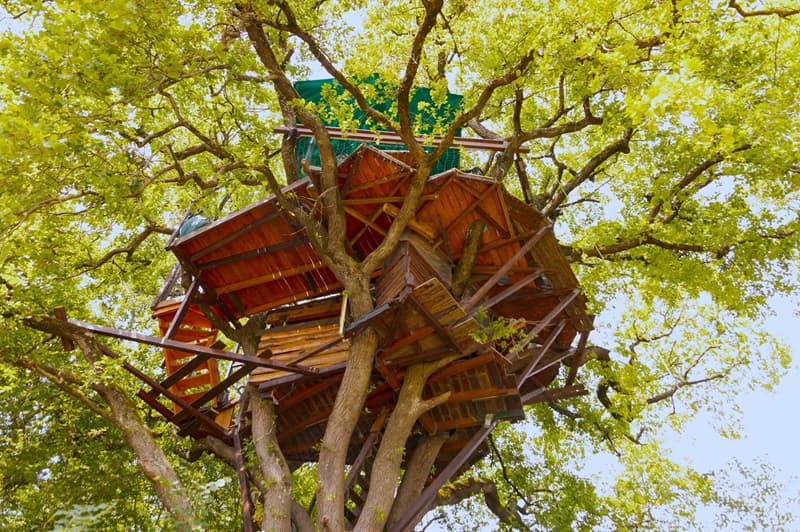 Contre plonglée La Cabane Insolite
