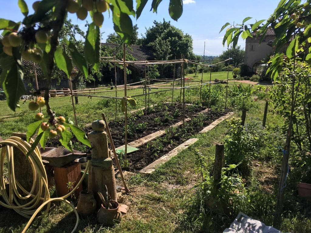 potager du chalet de la gestère Ambax
