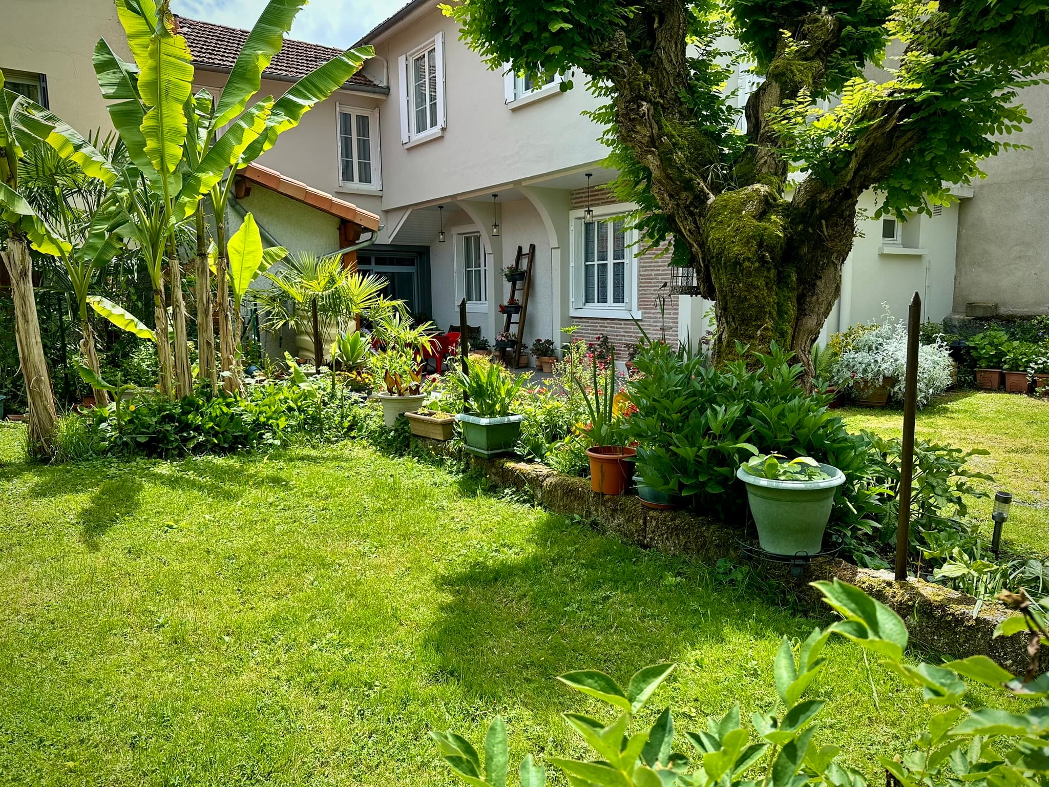 La Terrasse Fleurie