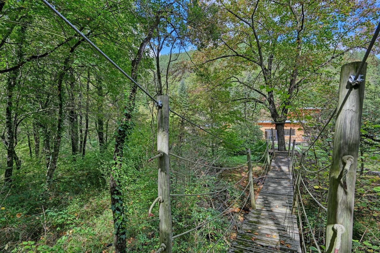 Gite des libellules Le pont de singe