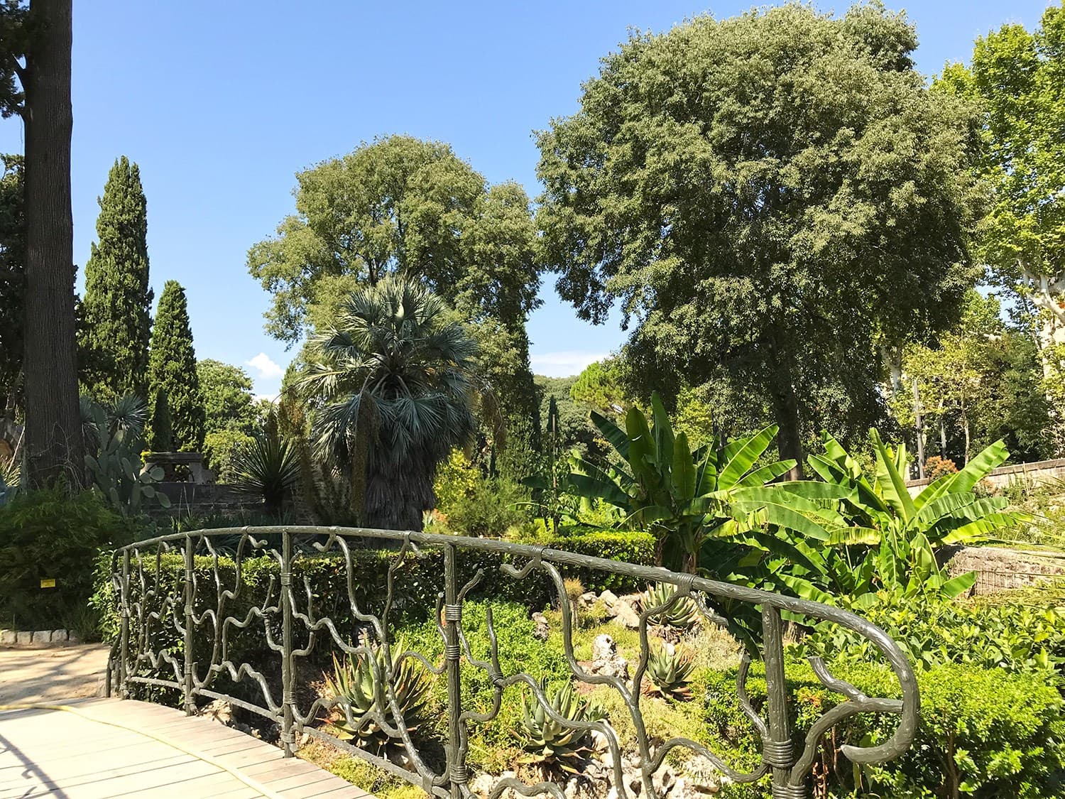 jardin des plantes Montpellier